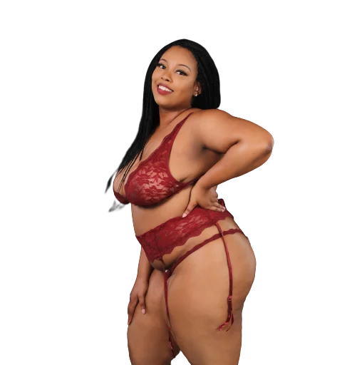 Sheer sexy lingerie for boudoir photography -The Retrograde