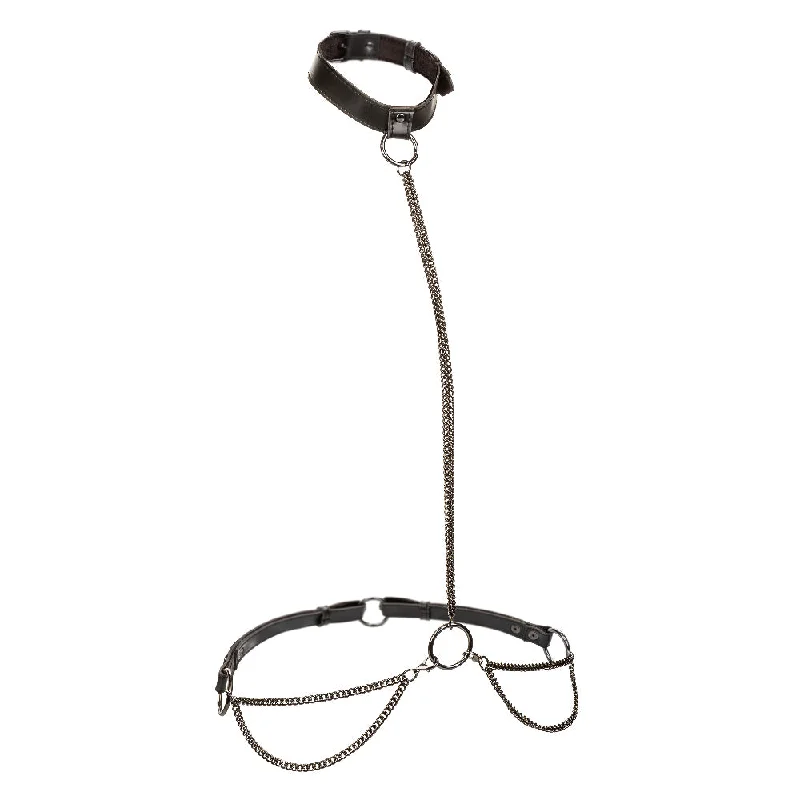 Open cup sexy lingerie for playful nights -Euphoria Collection Plus Size Chain Halter/collar  and Leash - Black