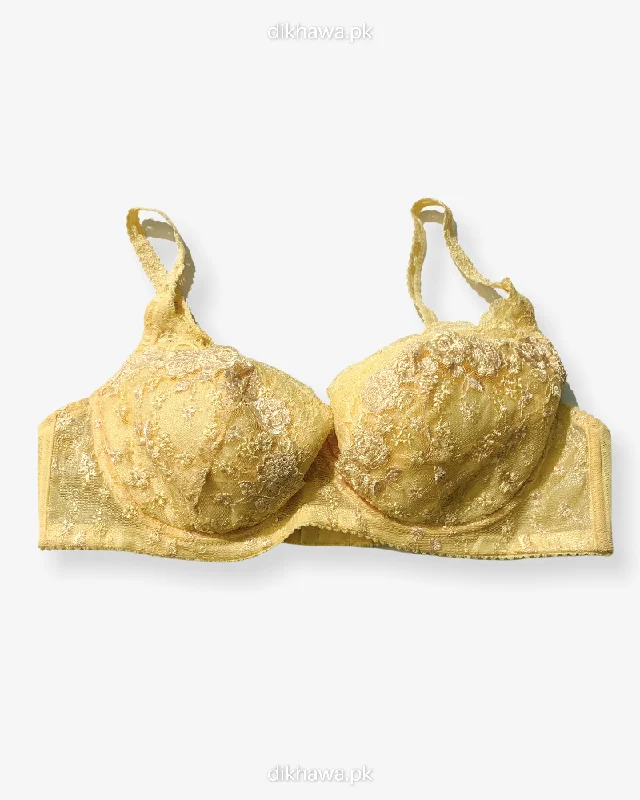 Push up bras that minimize back fat -Imported Stocklot Branded Net Pushup Bra - Underwired Padded Bra - Pack of 2 Push up bras that minimize back fat -Imported Stocklot Branded Net Pushup Bra - Underwired Padded Bra - Pack of 2