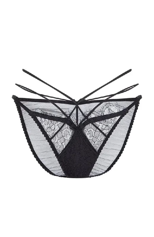 Halley Brief